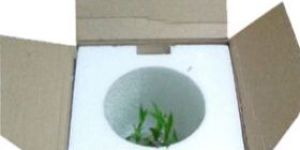 Gift Packaging Thermocol Box