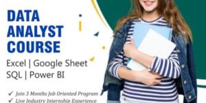 MIS & Data Analyst Training Course