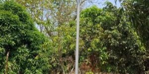 Solar Street Light