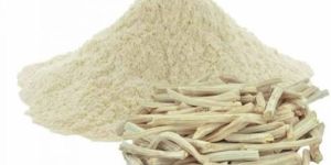 White Shatavari Powder