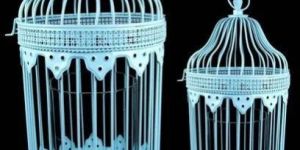 Metal Wire Bird Cages