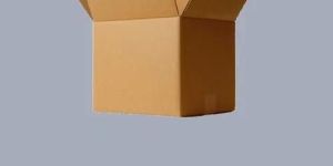 Plain Corrugated Packaging Box