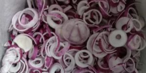 Frozen Onion Rings