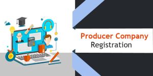 Producer Company Registration Service