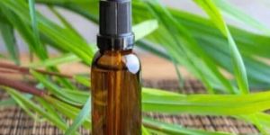 Citronella Essential Oil