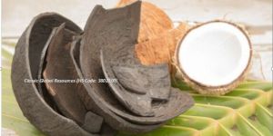 Coconut Shell Activated Carbon