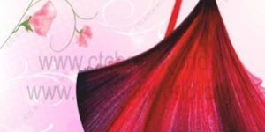 Poster Printing Services