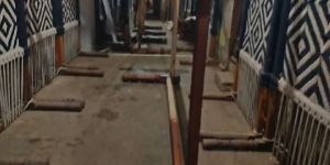 Blue and White Color Rope Khaat