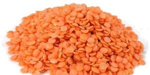 Red Lentils