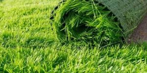 Green Artificial Grass
