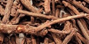 Rubia Cordifolia Roots