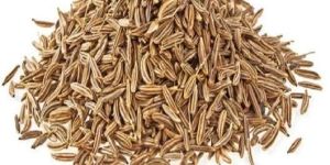 Cumin Seeds