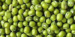 Green Mung Bean