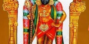 PURE SILK COTTON SAREE