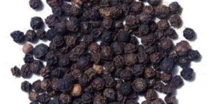 Black Pepper