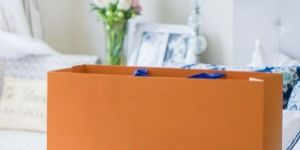 Printed Paper Carry Bags