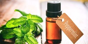 Mint Oil