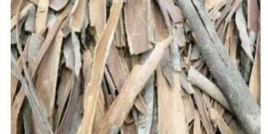 Organic Cinnamon Stick