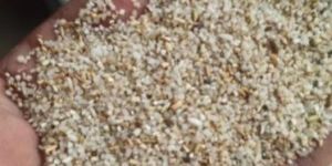 Broken Rice