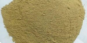 Rice Bran Powder