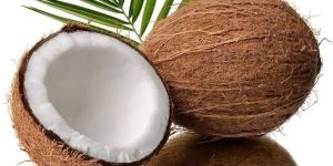Fresh Coconut