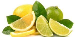 Fresh Lemon
