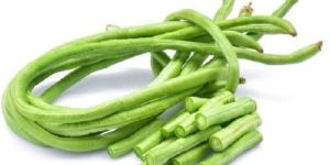 Fresh Yardlong Beans