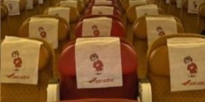 Printed Non Woven Pillow Cover