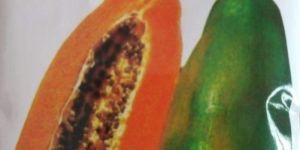 Taiwan Red Lady 786 Papaya Seeds