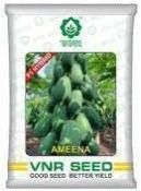 VNR Ameena Papaya Seeds