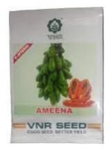 VNR SHABNAM PAPAYA SEEDS