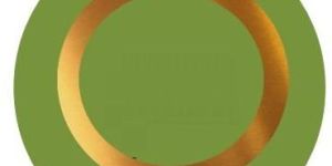 Brass Circular Blank Type Shim