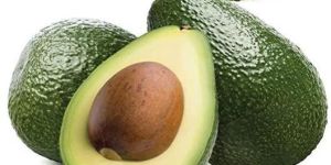 Fresh Avocado