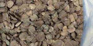 Red Sandalwood Seeds