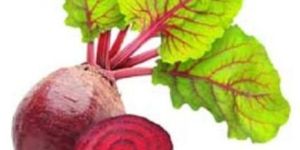 Fresh Beetroot
