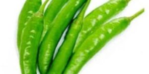 Fresh Green Chilli