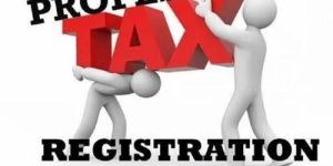 Professional Tax Registration Service