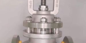 Flange End Piston Valve