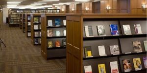 Library Book Shelves