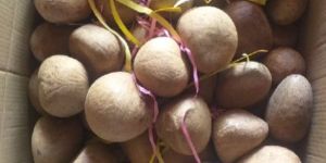 Dried Coconut Copra