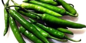 Green Chilli