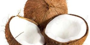 Coconut