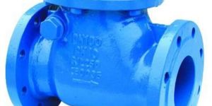 Swing Check Valve