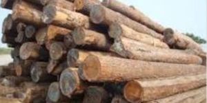 SAAL WOOD LOGS