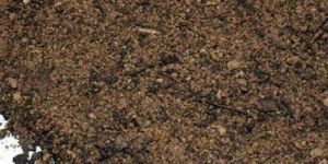 Press Mud Compost Manure
