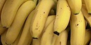 Fresh Banana