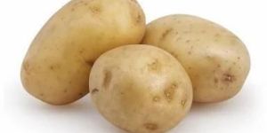 Fresh Potato