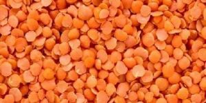 Red Masoor Dal