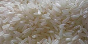 Swarna Rice