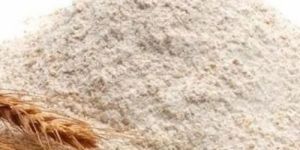 Wheat Flour